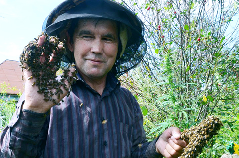 Ильгиз Шангареев признан лучшим пчеловодом России